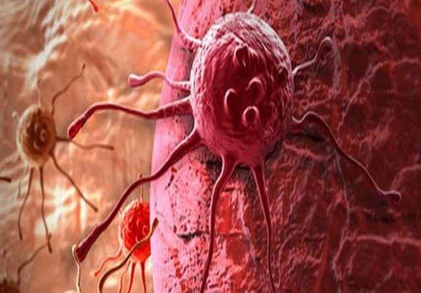 Cancer will be completely eradicated from this experiment.