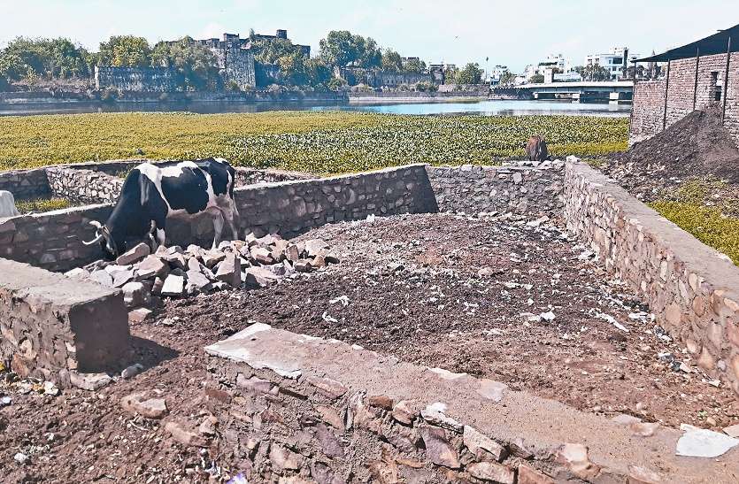 encroachment on Chambal River OMG: माफियाओं ने चम्बल में काट दिए प्लॉट, शिकायत करने पर देते हैं जान से मारने की धमकी