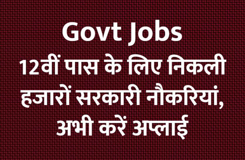 Rajasthan,rajasthan news,UPSC,government jobs,UPSC exam,Govt Jobs,Sarkari Naukri,gail,sarkari jobs,employment news,sarkari naukari,rojgar samachar,employment news in hindi,rojgar samachar in hindi,latest government jobs,jobs in hindi,latest jobs news,latest government job,UPSC Jobs,sarkari job,sarkari naukri search,govt jobs in hindi,upsc vacancy,Sarkari Naukari 2019,govt jobs 2019,10th pass govt jobs 2019,सरकारी नौकरी 2019,upsc jobs in hindi,sarkari naukri 2019,Government Job 2019, 12वीं पास के लिए निकली हजारों सरकारी नौकरियां, अभी करें अप्लाई