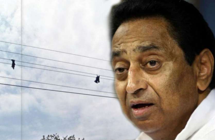 kamal nath मध्यप्रदेश में चमगादड़ों के कारण हो रही बिजली कटौती, मंत्री ने कहा- लोगों के घरों में बढ़े एसी भी जिम्मेदार
