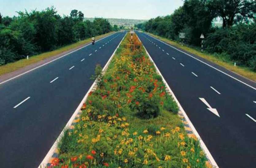 lucknow हर्बल होंगी यूपी की सड़कें, राजकीय और राष्ट्रीय राजमार्गों पर लगाए जाएंगे औषधीय पौधे