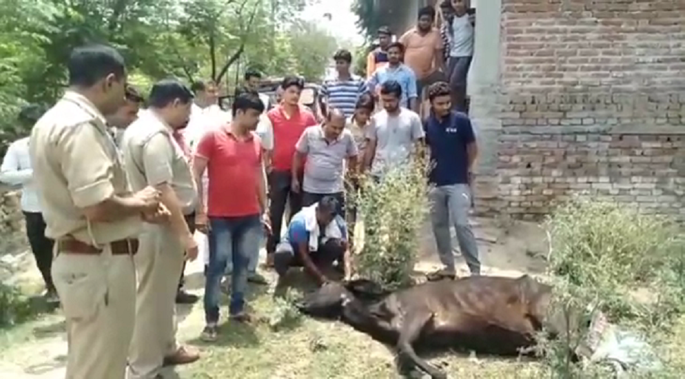 Muzaffarnagar