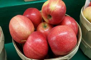 American Apple off shelves due to trade war in indian Market आयात शुल्क बढ़ने के बाद बाजार से नदारद हुए अमरीकी सेब, इतने बढ़े भाव