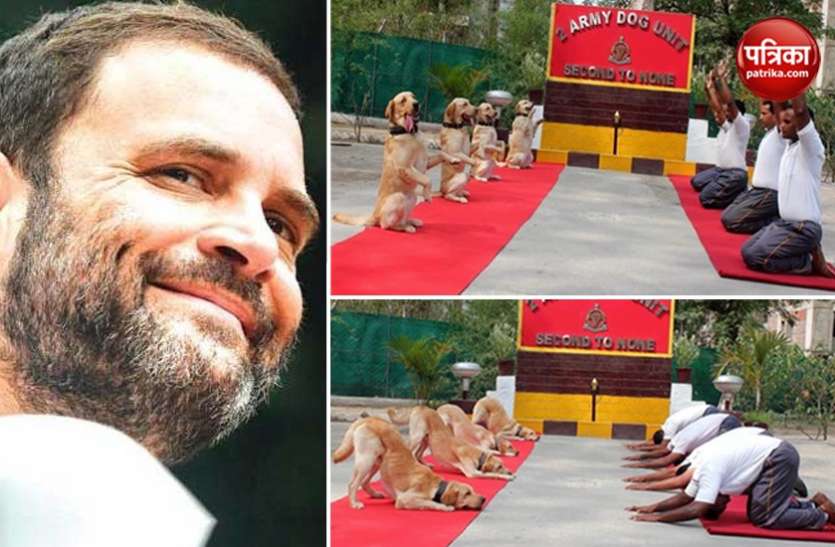 Rahul Gandhi tweet राहुल गांधी ने ट्वीट कर न्यू इंडिया का उड़ाया मजाक? शाह और राजनाथ समेत पूरी BJP हुई हमलावर