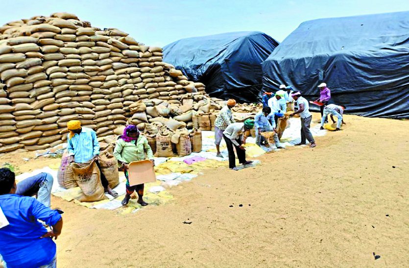 balod patrika संग्रहण केंद्र में बिजली गिरने से 29 क्विंटल धान का नुकसान