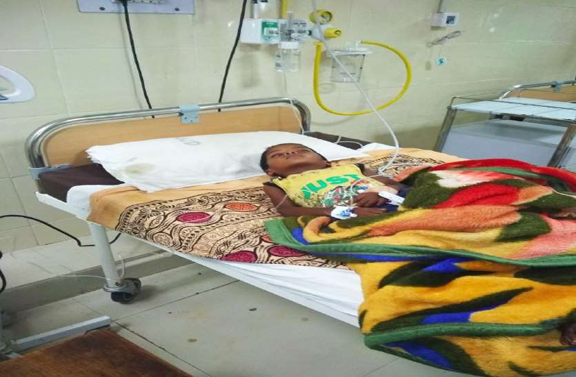 Japanese encephalitis इस बीमारी से बस्तर में हर साल जा रही बच्चों की जान, न लगा रहे टीका, न बना अभी तक चाइल्ड वार्ड
