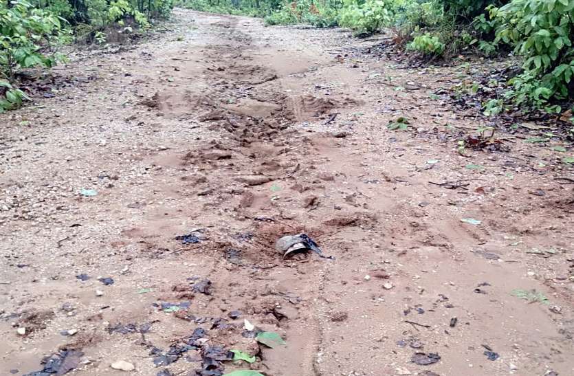 56 Serial IED blast Breaking News : आकाशीय बिजली ने बचा ली जवानों की जान, 56 सीरियल आईईडी ब्लास्ट से दहल गया छत्तीसगढ़ का यह इलाका