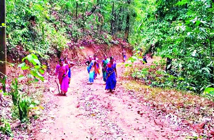 Medini VIlage यहां के बासमती चावल की महक को नहीं मिल रहा बाहर आने का रास्ता
