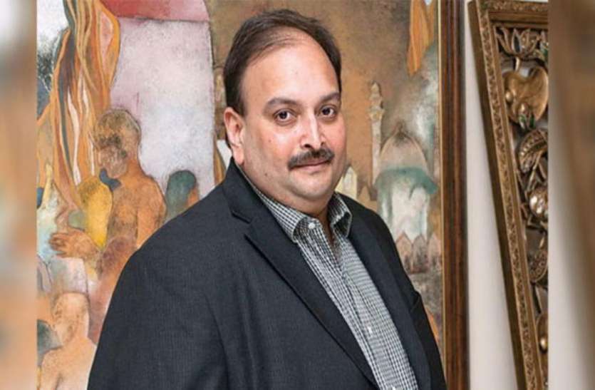 Mehul choksi PNB Scam: प्रवर्तन निदेशालय का जवाबी हलफनामा, स्वास्थ्य को लेकर झूठ बोल रहा है मेहुल चोकसी