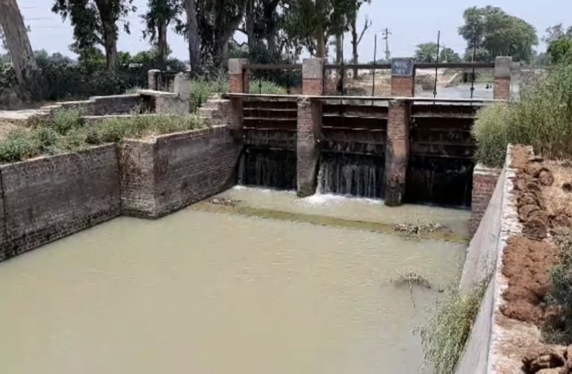 water पड़ताल: हजारों किसानों को फसल सूखने का डर, अधिकारी बोले- चोरी हो रहा नहर का पानी