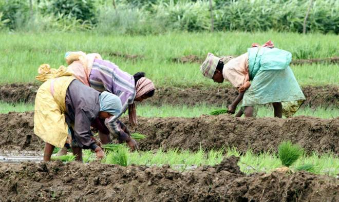 Crisis on 300 villages बारिश के कमजोर पड़ते ही 300 गांवों पर आएगी आफत, जानें क्या है मामला