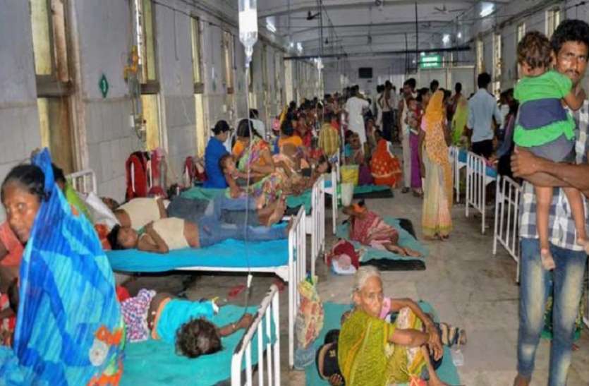SKMCH, Muzaffarpur Dr. Bhimsen Kumar Suspended, Chamki Bukhar - SKMCH के  सीनियर डॉ. भीमसेन निलंबित, मुजफ्फरपुर में चमकी बुखार से 129 की मौत |  Patrika News