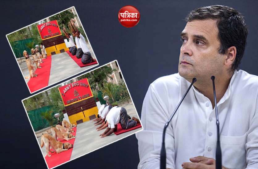 Rahul Gandhi राहुल गांधी के खिलाफ शिकायत दर्ज, योग दिवस पर किया था विवादित ट्वीट