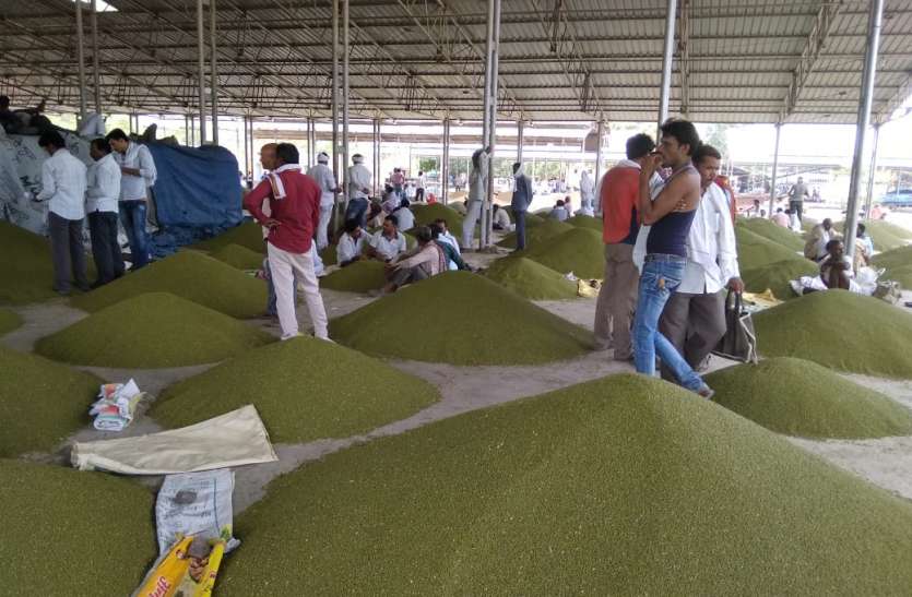 Mandi me aayi moong ki fasal इस वर्ष मूंग की बम्पर फसल से किसानों के खिले चेहरे