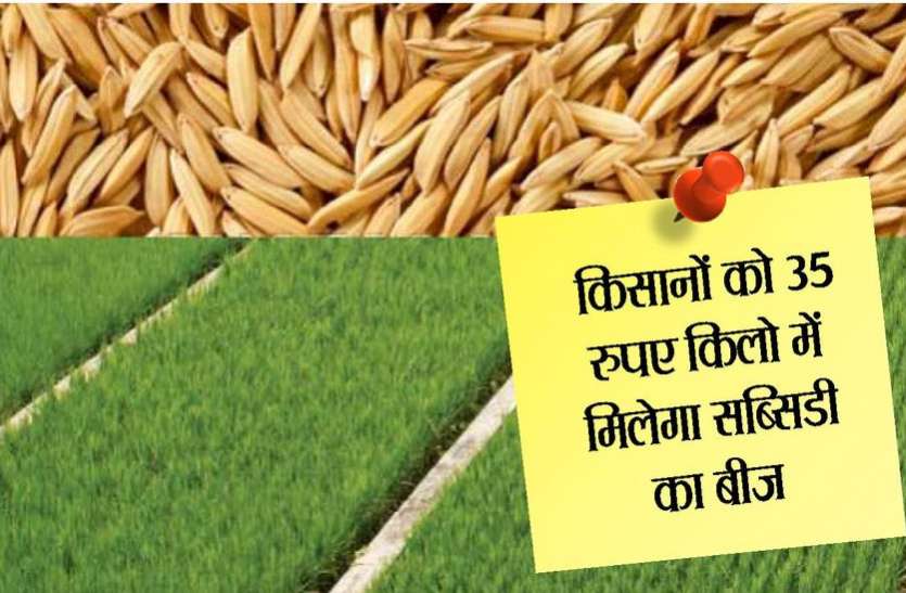 kota Latest News Farmers get subsidy seed in 35 kgs किसानों के लिए राहत की खबर... सब्सिडी का बीज 35 रुपए किलो में मिलेगा