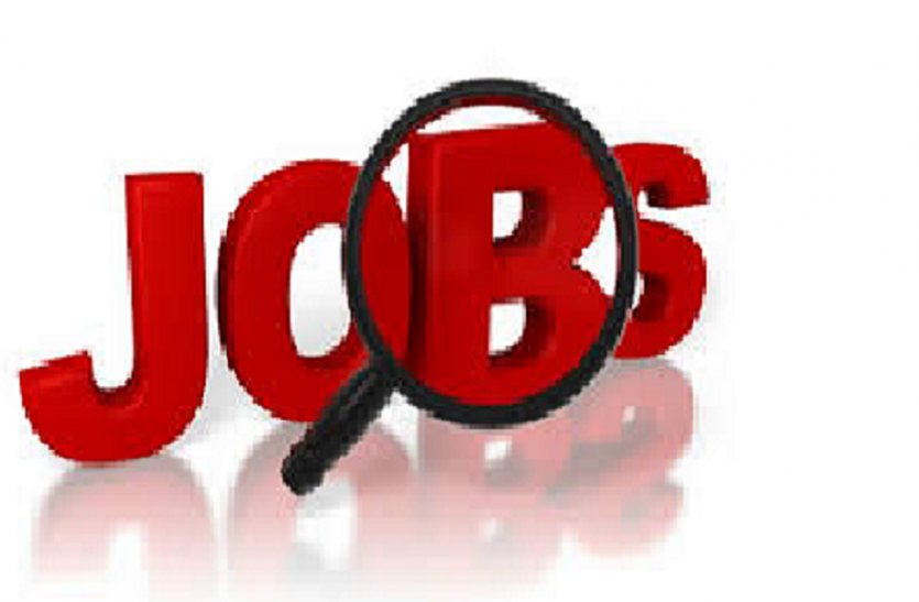 JOBS प्रतीकात्मक फोटो युवाओं के लिए बड़ा मौका, बनारस के इस संस्थान में निकली है बंपर वेकेंसी