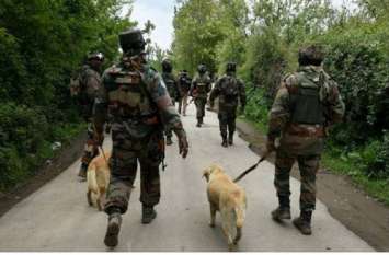 Army search operation in Pulwama tulluhal village terrorists पुलवामा में सेना का सर्च ऑपरेशन, आतंकियों की तलाश जारी