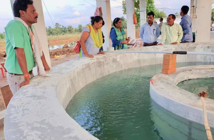 seoni मछली पालन से बढ़ रही किसानों की आय