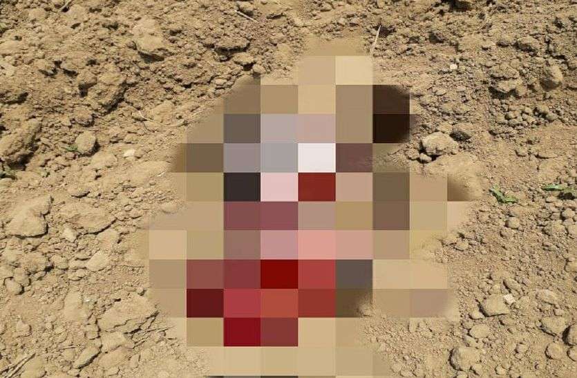 Newly Born Baby's Dead Body Found In Behror Alwar मानवता शर्मसार : नवजात शिशु को माता-पिता ने फेंक दिया, फिर बच्चे को कुत्ते ने नोंच खाया, आधा शरीर मिला
