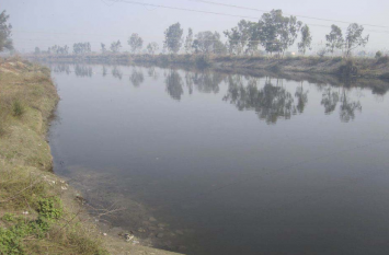 Water Crisis Haryana:Dirty Water Is Mixing In Western Yamuna Canal दिल्ली और दक्षिणी हरियाणा के हिस्से का पानी हो रहा गंदा