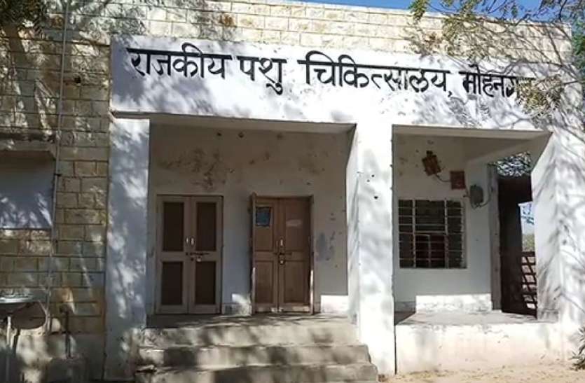 Vacant post of veterinary doctor in animal hospital mohangarh पशुअस्पताल पर असामाजिक तत्वों का कब्जा