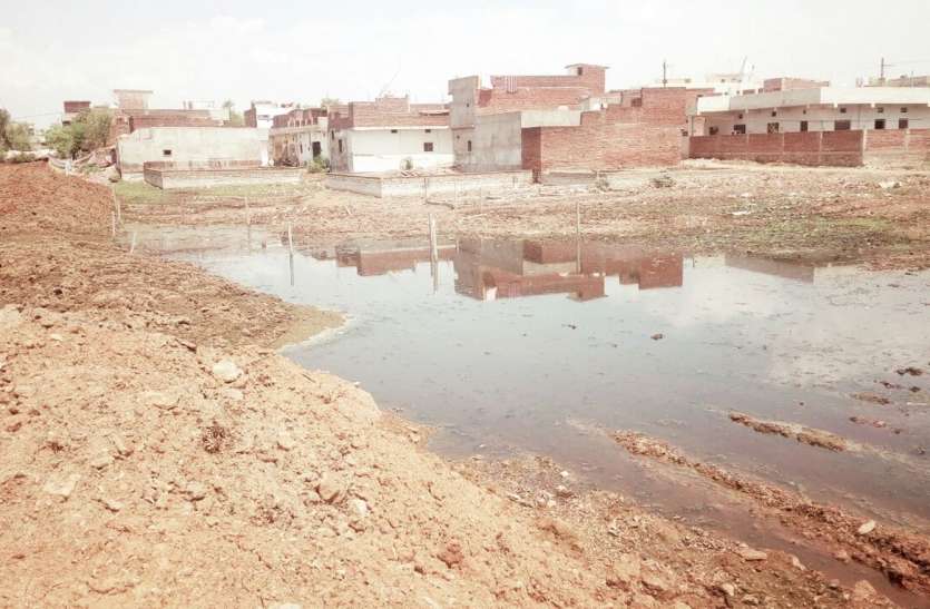 Land mafia active in dhawari talab मप्र के इस शहर में भू-माफिया सक्रिय, 10 एकड़ के तालाब में बस्ती बसाने की तैयारी