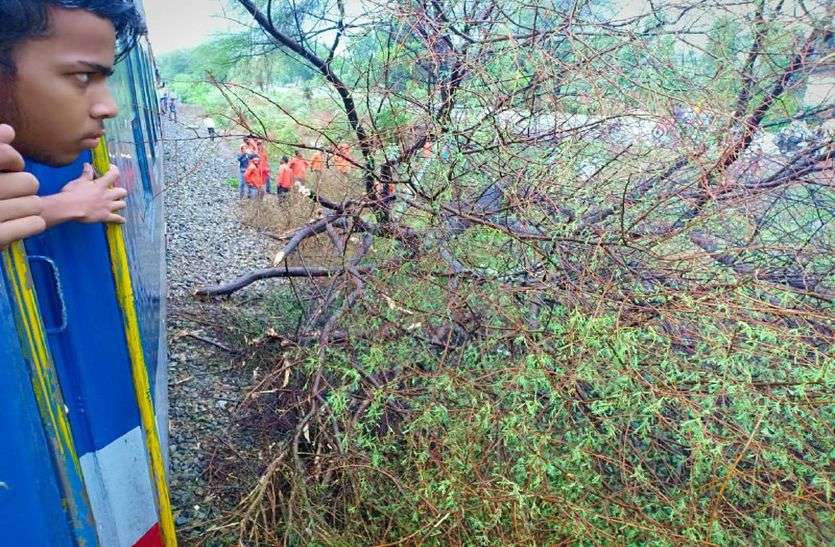 TRAIN ACCIDENT INDIAN RAILWAY NEWS देखें VIDEO ट्रेन में खिड़की के बाहर था महिला का हाथ, अचानक गिरा पेड़, फिर हुआ ये