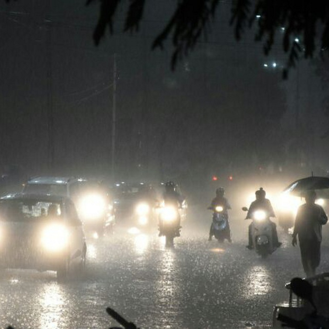 light rain पढ़े क्यों, पिछले साल की तुलना में जून में 66.3 मिमी कम हुई बारिश