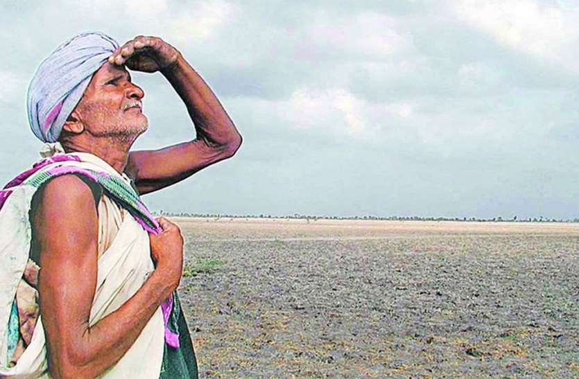 farmers waiting crop insurance claim नागौर में आधे किसानों को मिला फसल बीमा का क्लेम, आधे कर रहे इंतजार