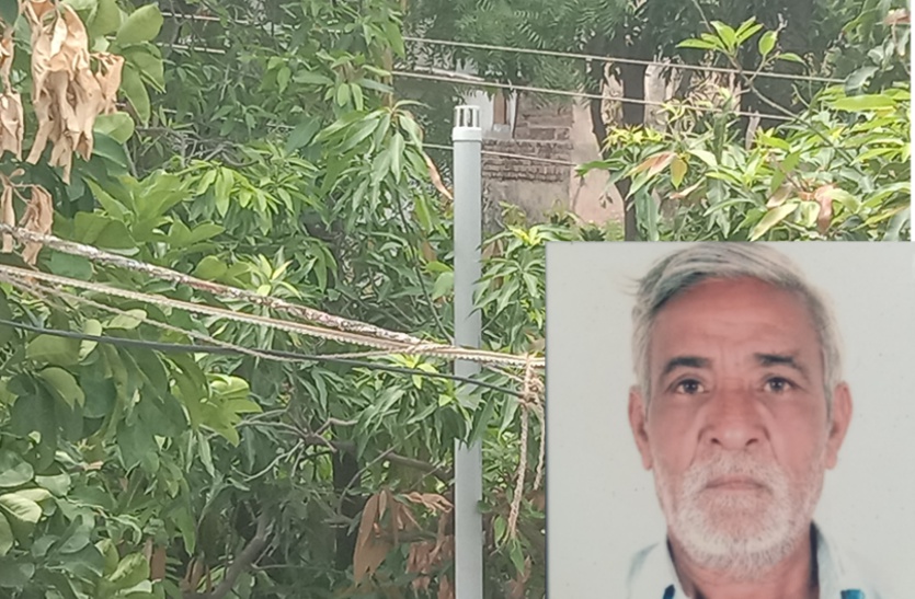 electric shock बड़ी खबर: कैरी के बदले बुजुर्ग को मिली दर्दनाक मौत, कैसे पढि़ए खबर