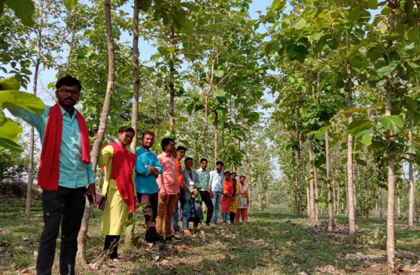 Farmer becoming inspiration for environmental protection पर्यावरण संरक्षण के लिए प्रेरणा बन रहा किसान, डेढ़ एकड़ खेत में 12 सौ पौधे लगाकर दिया संदेश