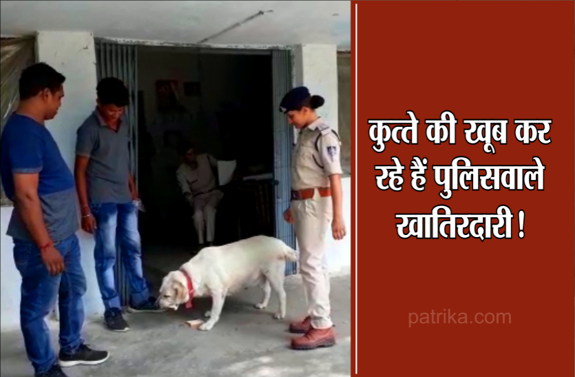 policeman caring dog मालिक गए जेल तो 3 दिन घर में भूख से बेहाल पड़ा रहा 'जिमी', 5 दिन से थाने में रख खिला रहे हैं पुलिसवाले