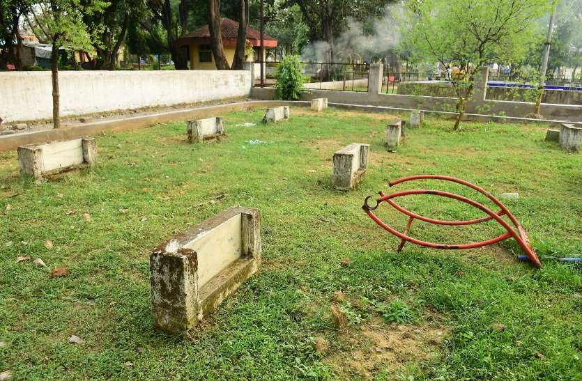 पिछले छह साल में लगाए गए थे 20 लाख से अधिक पौधे, पर अधिकांश जगह नहीं है पौधे पौधे लगाने पर ध्यान, सहेजने पर नहीं, बीते कई साल में लगाए पौधों का नामोनिशान तक नहीं