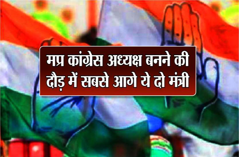 indore मप्र कांग्रेस अध्यक्ष बनने की दौड़ में सबसे आगे ये दो मंत्री, इसी हफ्ते हो सकती है घोषणा