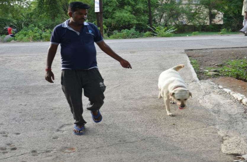 policeman caring dog