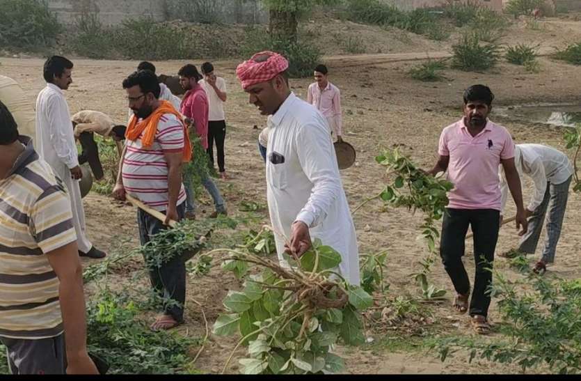 bikaner- rajasthan patrika amritam jalam campaign अभियान से जुड़कर लोगों ने किया स्वैच्छिक श्रमदान