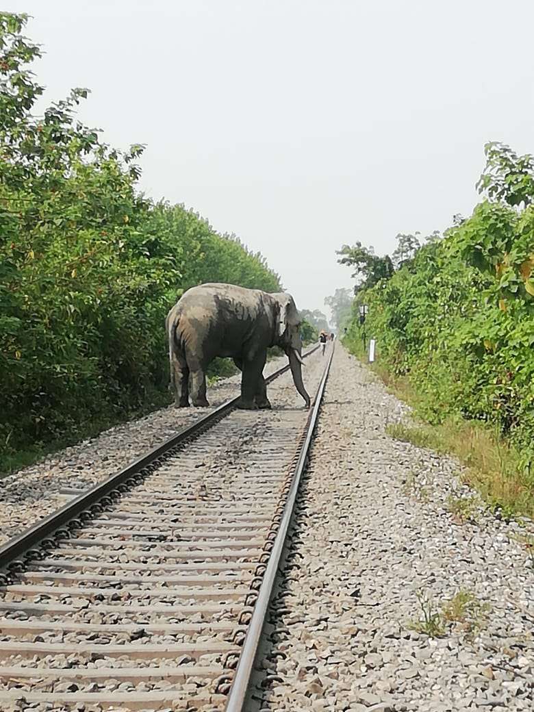 rampur