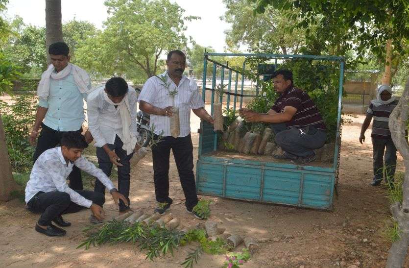 Good day earnings from plants पहले ही दिन पौधों से हुई अच्छी आमदनी