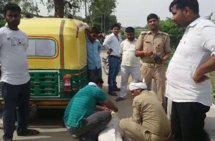 murder हत्यारोपियों ने वृद्ध की हत्या कर शव को ऐसी जगह फेंका कि देखकर चकरा गई पुलिस, देखें वीडियो