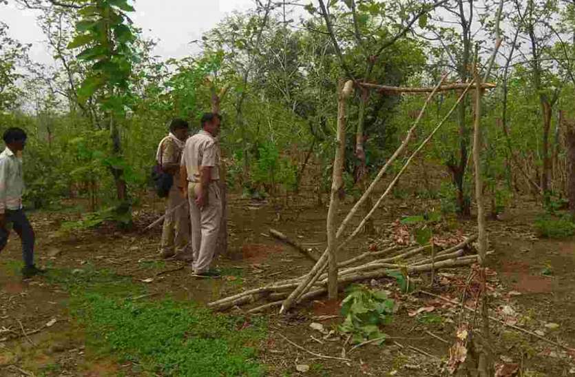 Pratapgarh right in forest वन अधिकार का लालच, जंगल में बढऩे लगा अतिक्रमण
