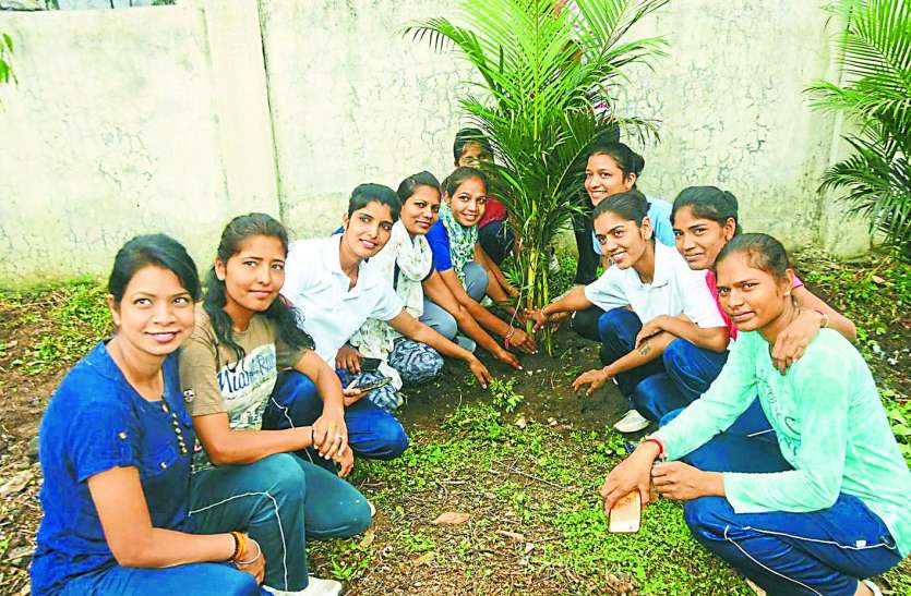 patrika हरियाली बचाने का जज्बा: निम्बोली लगाकर कर रहे प्रकृति की रक्षा पर्यावरण मित्र