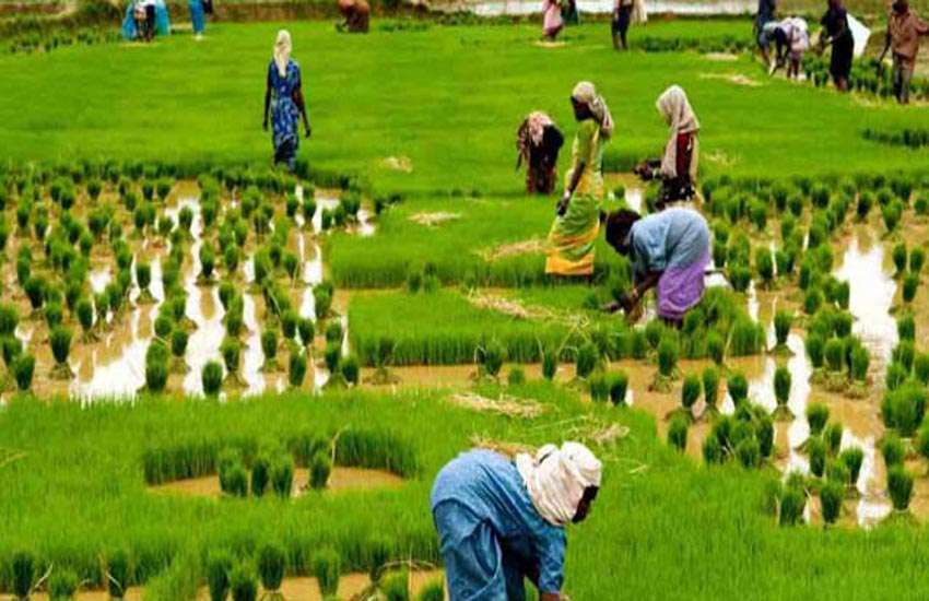 farming