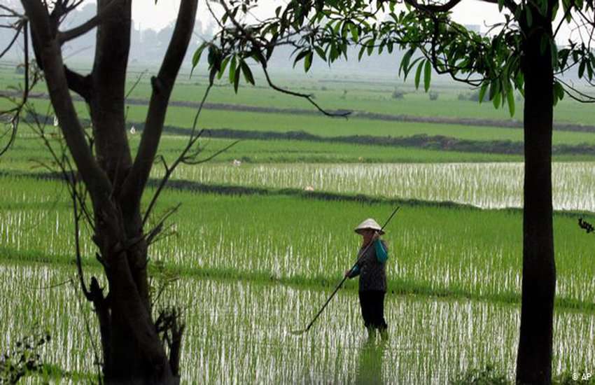 farmer
