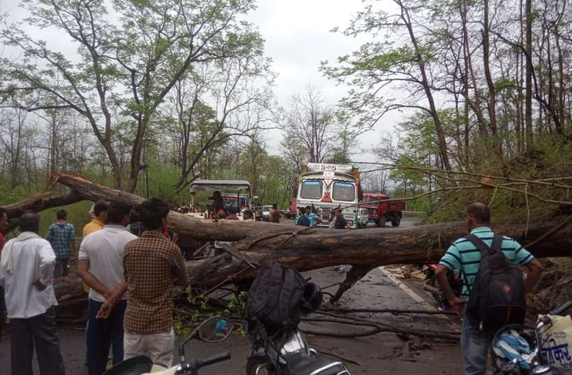 puliya लोनिवि की घोर लापरवाही उजागर क्षतिग्रस्त पुलिया ढही