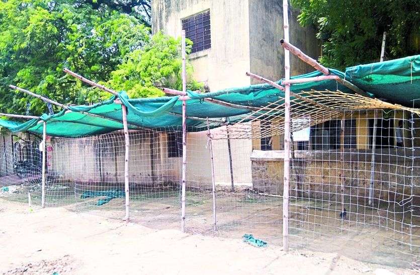 परिषद के पास लगाई गई नर्सरी। बिना शुल्क जमा कराए ही लगा दी नर्सरी