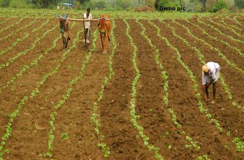 Cooperative Banks Ask Caste Of Farmers Before Lending Money