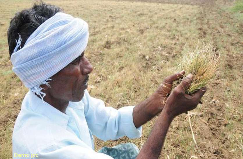 Cooperative Banks Ask Caste Of Farmers Before Lending Money