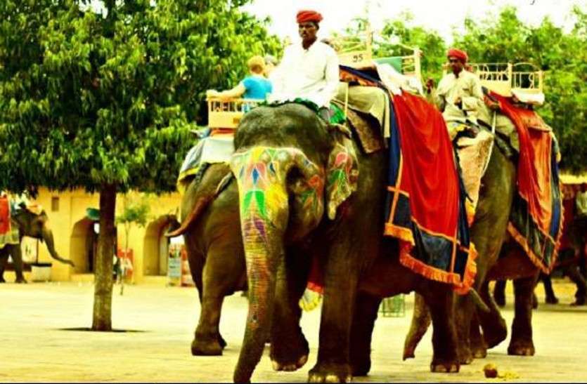 rajasthan tourism खुशखबरी : जयपुर की प्रसिद्ध हाथी सवारी अब आमेर के साथ नाहरगढ़ में भी, पर्यटकों को आएगा डबल मजा
