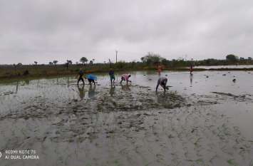 Brother kills a sack on sowing in the field खेत में बुवाई को लेकर भाई को मारी कुल्हाड़ी