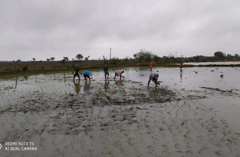Brother kills a sack on sowing in the field खेत में बुवाई को लेकर भाई को मारी कुल्हाड़ी